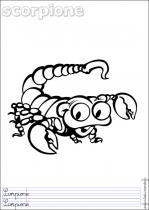 coloriage-scorpion-1